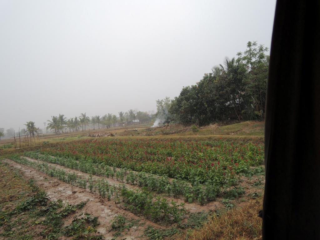 Meas Family Homestay Angk Ta Saom Exterior foto
